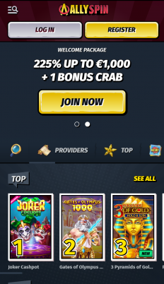 AllySpin Screenshot