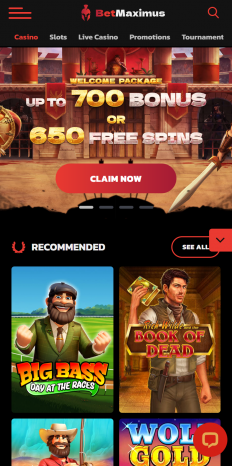 BetMaximus Casino Screenshot