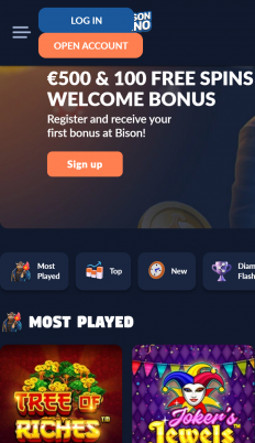 Bison Casino Screenshot