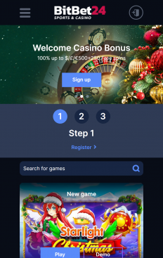 BitBet24 Screenshot