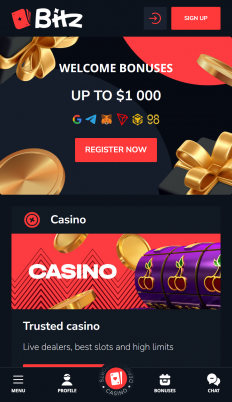 Bitz Casino Screenshot