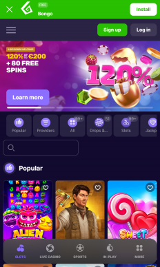 Bongo.gg Screenshot