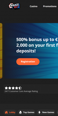 Bruce Bet Casino Screenshot