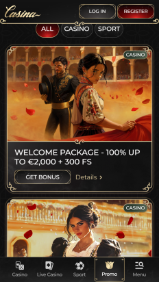 Casina Casino Screenshot