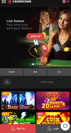 Casinochan Screenshot