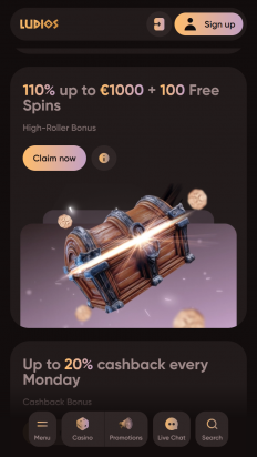 Ludios Casino Screenshot
