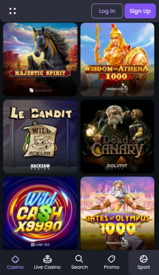 SpinyBet Screenshot