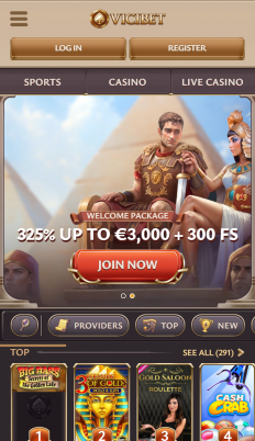 ViciBet Screenshot
