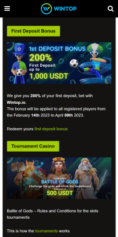 Wintop Casino Screenshot