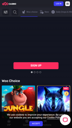 WooCasino Screenshot