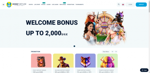 DogsFortune Casino Screenshot