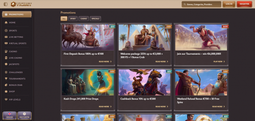ViciBet Screenshot