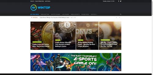 Wintop Casino Screenshot